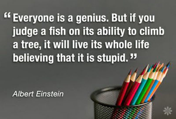 Everybody is a genius in their own way quotation by Albert Einstein.